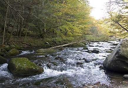woodland creek catskill image